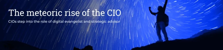 Link to CIO Report website