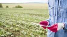 Farm worker wearing gloves uses an ipad on a farm